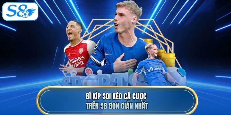 Bí kíp soi kèo cá cược trên S8 đơn giản nhất