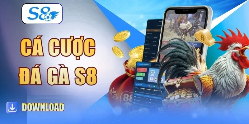 Cá Cược Đá Gà S8 - Bỏ Túi 4 Bí Quyết Đặt Kèo Chuẩn Xác