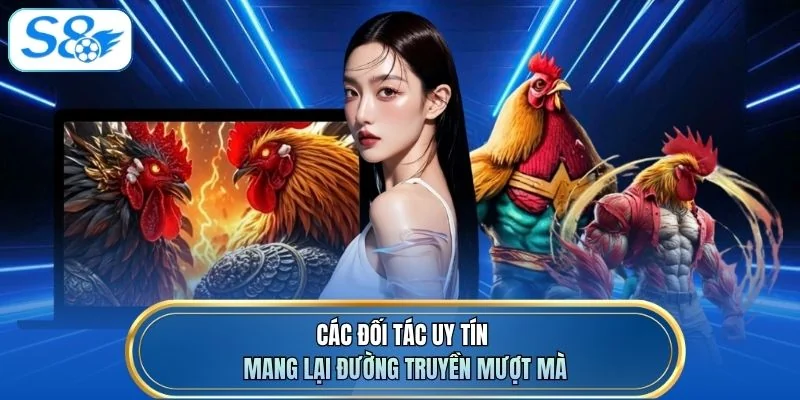 Các đối tác uy tín mang lại đường truyền mượt mà