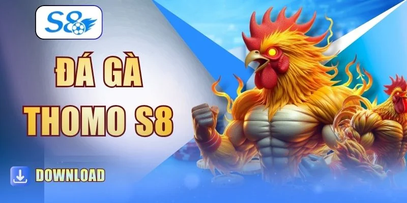 Đá Gà Thomo S8 | 3 Quy Tắc Và Luật Chơi Chi Tiết Nhất