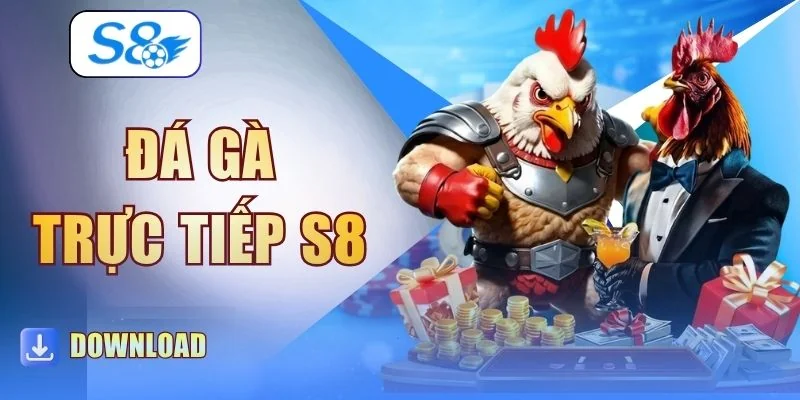 Đá Gà Trực Tiếp S8 - Trải Nghiệm 4 Giải Đấu Chọi Kê Nảy Lửa