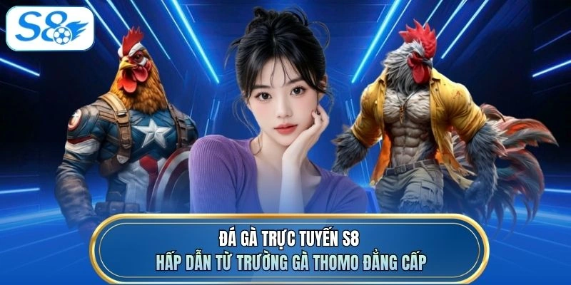 Đá gà trực tuyến S8 hấp dẫn từ trường gà Thomo đẳng cấp