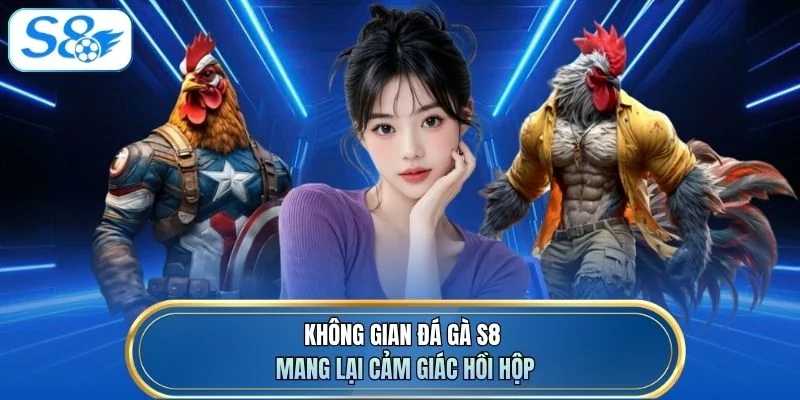 Không gian đá gà S8 mang lại cảm giác hồi hộp