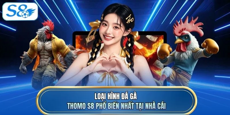 Loại hình đá gà Thomo S8 phổ biến nhất tại nhà cái