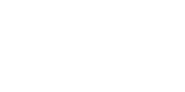 S889VIP
