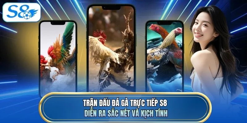 Trận đấu đá gà trực tiếp S8 diễn ra sắc nét và kịch tính